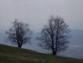 /album/foto-roka/img-0192-jpg/